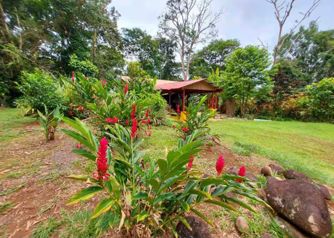 Venta de quinta en Horquetas de Sarapiquí en Las Horquetas, Sarapiquí, Heredia — ₡ 70 000 000 - Foto 4 de 21