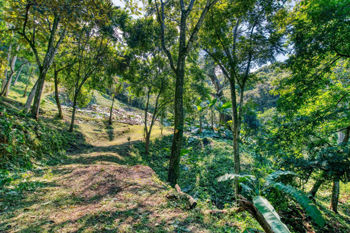 Venta de Lote de Desarrollo en Bosques de Mora en Colón, Mora, San José — $350,000 - Foto 2 de 16