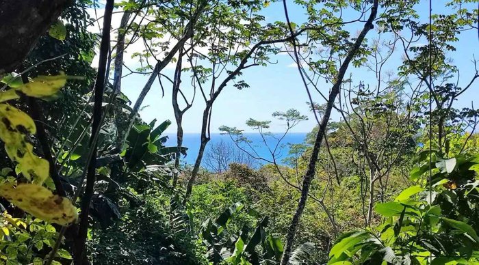 •  Complejo Turístico con Casa en Cóbano a Minutos de Santa Teresa in Santa Cruz, Guanacaste — $1,750,000 - Photo 2 of 51