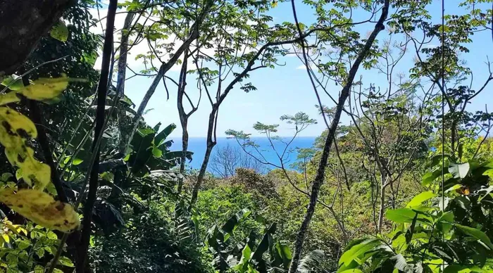 • Tourist Complex with House in Cóbano, Minutes from Santa Teresa in Santa Cruz, Guanacaste — $1,750,000 - Photo 2 of 51