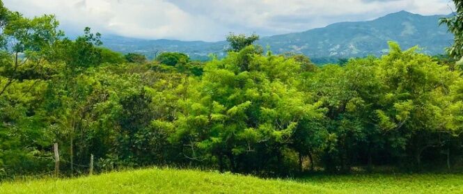 Lote paradisíaco en Ciudad Colón rodeado de naturaleza y paz total #26-1024 GS en Colón, Mora, San José — $425,000