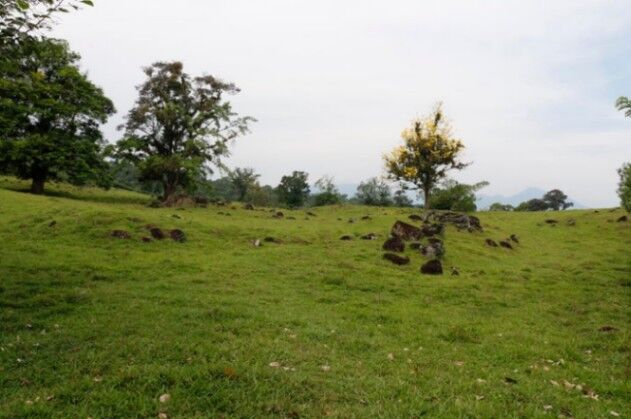 Se vende amplia propiedad de 219 hectáreas en Guápiles de Limón 23-908 en Guápiles, Pococí, Limón — $5,300,000