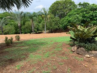 VENTA DE DOS LOTES ALAJUELA, OROTINA, OROTINA in Orotina, Alajuela — $400,492 - Photo 4 of 7
