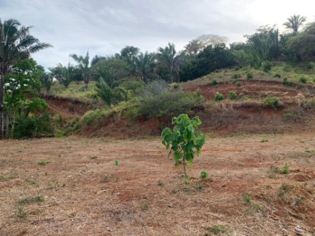 LOTE EN VENTA EN GUANACASTE en Puerto Carrillo, Hojancha, Guanacaste — $459,000