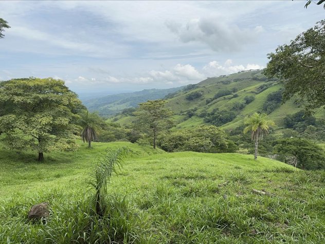 Propiedad de 117,454m2 ideal para finca en Atenas, Alajuela — $390,000