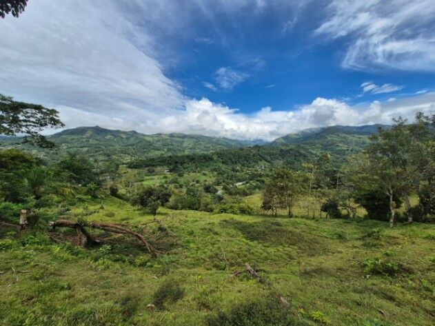 EN VENTA: TERRENO DE 5.12 HECTÁREAS EN MIRAFLORES, PÉREZ ZELEDÓN en El General, Pérez Zeledón, San José — $330,000