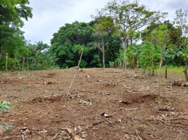 Lote de 1220 m² a la venta en Las Delicias de Cóbano in Cóbano, Puntarenas — ₡ 30 500 000