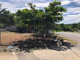 Venta de muy buen lote de 300 m2 en Balsa de Atenas