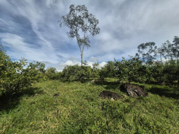 9+ hectares en Miraflores con rio y plano, Perez Zeledon en El General, Pérez Zeledón, San José — $599,999