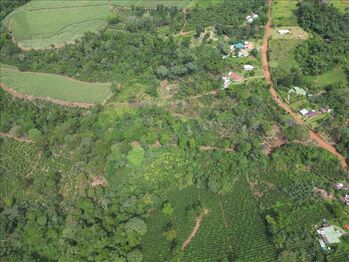 Finca 2 hectareas /land for sale 2 hectares in Cajón, Pérez Zeledón, San José — $150,000 - Photo 5 of 9