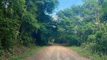 Venta de Lote, Guanacaste, Nicoya, Nosara - Foto 3 de 3