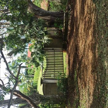 Lote en Venta Espíritu Santo, Esparza, Puntarenas