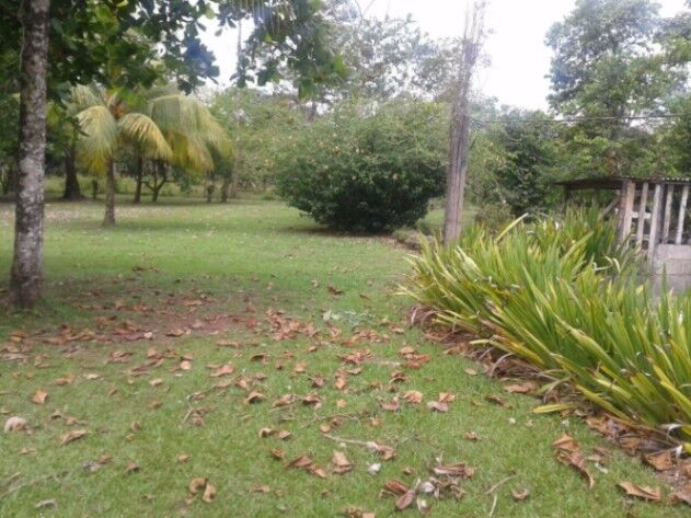 se vende linda quinta en valle azul inform.85683261 in Peñas Blancas, San Ramón, Alajuela — ₡ 85 000 000