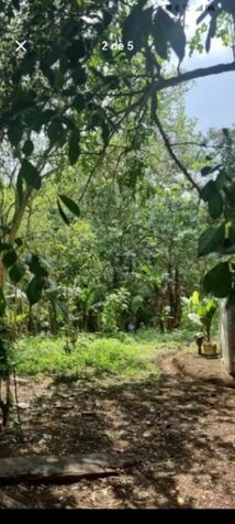 DE OPORTUNIDAD 2 BELLAS PROPIEDADES EN SAN RAFAEL ARRIBA DE DESAMPARADOS.  en San Rafael Arriba, Desamparados, San José — ₡ 55 000