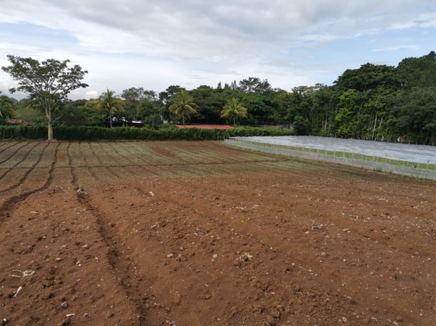 VENTA TERRERO DE DESARROLLO, ALAJUELA, SAN RAFAEL en San Rafael, Alajuela — $1,800,000 - Foto 3 de 9