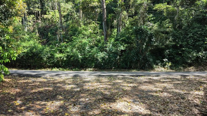 VENTA DE LOTE RESIDENCIAL Y TURISTICO DE 3.892 M2 EN SAN FRANCISCO DE RIVAS, PEREZ ZELEDON in Rivas, Pérez Zeledón, San José — $95,000 - Photo 3 of 7