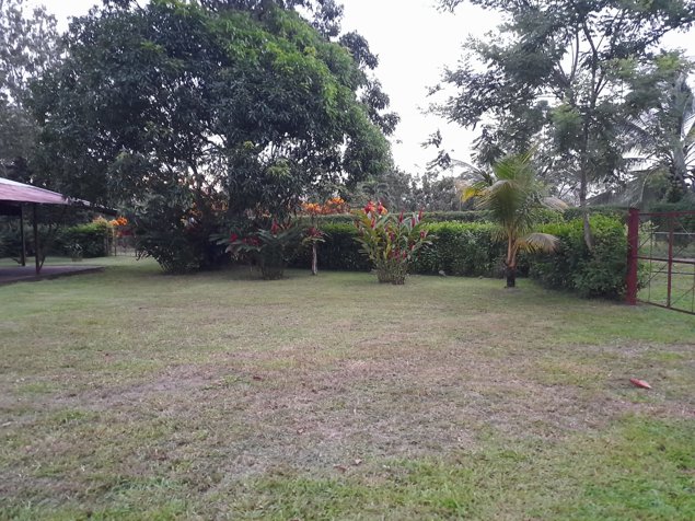 SE VENDEN 2 BELLÍSIMAS PROPIEDADES CON 2 CASAS EN SAN CARLOS, ALAJUELA. en Florencia, San Carlos, Alajuela — ₡ 42 000 000