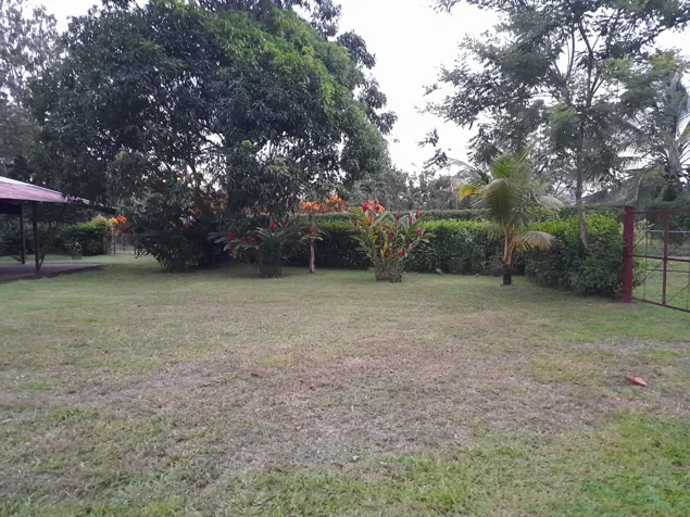 SE VENDEN 2 BELLÍSIMAS PROPIEDADES CON 2 CASAS EN SAN CARLOS, ALAJUELA. en Florencia, San Carlos, Alajuela — ₡ 42 000 000