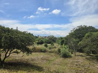 Lote en venta en Santo Domingo. Uso mixto - desarrollar. 5PVV9634224 en San Miguel, Santo Domingo, Heredia — $3,877,358 - Foto 4 de 15