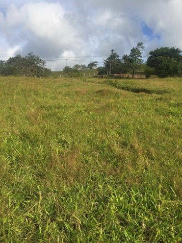 🏞️ LOTE CON GRAN POTENCIAL DE DESARROLLO📍 Tilarán, Guanacaste en Tilarán, Guanacaste — ₡ 70 000 000