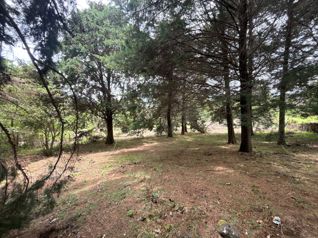 VENTA DE LOTE DE 11.310 m² EN LOS ÁNGELES, SAN RAFAEL DE HEREDIA in Ángeles, San Rafael, Heredia — $339,300 - Photo 3 of 6