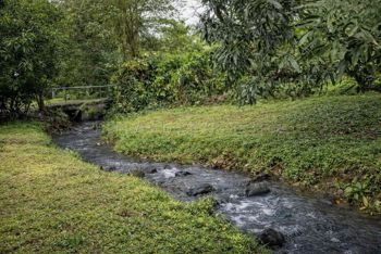 Venta de Lote PLANO en San Carlos-La Fortuna. RAH 27-935 en La Fortuna, San Carlos, Alajuela — 17 000 000 ₡ - Foto 3 de 8