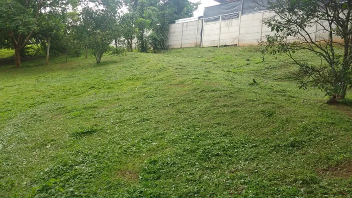 VENTA DE LOTE, ALAJUELA, OROTINA, COYOLAR en Coyolar, Orotina, Alajuela — $55,000 - Foto 2 de 4