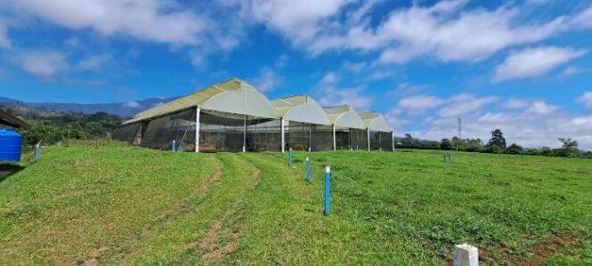 FINCA LECHERA A PUERTA CERRADA en Santa Teresita, Turrialba, Cartago — $1,500,000