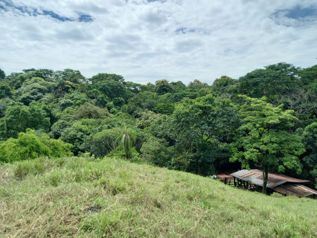 Venta de finca en Esparza Puntarenas Sector parcelas el Barón en San Juan Grande, Esparza, Puntarenas — $840,000 - Foto 5 de 31