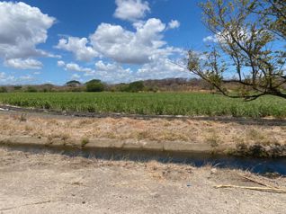 Finca de 136 Ha con riego en Bagaces - Photo 2 of 3