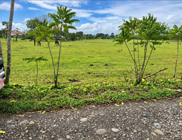 Lotes en venta en Muelle de San Carlos | Financiamiento del dueño in La Fortuna, San Carlos, Alajuela — ₡ 21 481 600 - Photo 3 of 5
