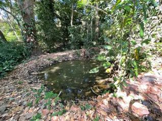 Finca en funcionamiento de 38.334m2 con casa y cuadras in Atenas, Alajuela — $545,000 - Photo 5 of 17