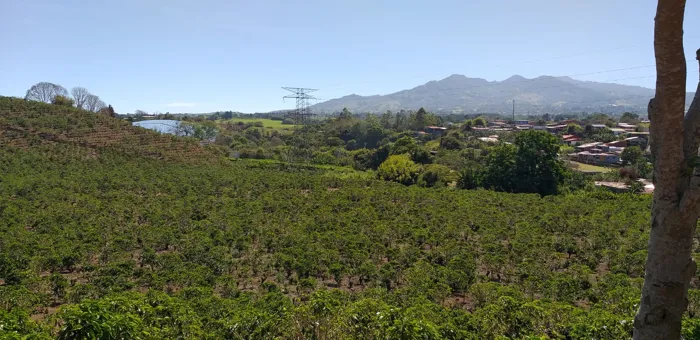 Lote en Venta, Uso Residencial, Clima de Montaña, 5PJG10035484 en San Jerónimo, Moravia, San José — $2,790,360 - Foto 3 de 25