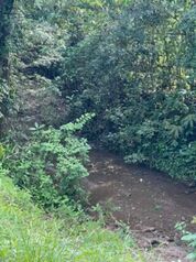 SE VENDE CASA Y APARTAMENTO EN RÍO FRÍO, SARAPIQUÍ.  en Las Horquetas, Sarapiquí, Heredia — 21 000 000 ₡ - Foto 5 de 5