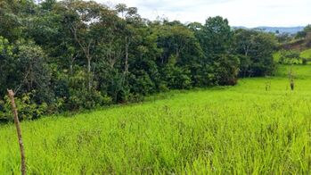 VENTA DE QUINTA DE 7.000 M2 EN SANTA CECILIA DE SAN PEDRO, PEREZ ZELEDON: CLIMA FRESCO Y VISTAS en San Pedro, Pérez Zeledón, San José — $80,000 - Foto 5 de 32
