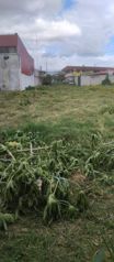 Venta de lote con uso de suelo mixto. - Photo 3 of 3