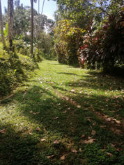 GREAT LOCATION!! Community, permaculture , self sustainable in Cajón, Pérez Zeledón, San José — $399,000 - Photo 5 of 80