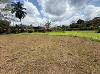 Venta de terreno en San Ramón de Alajuela en San Lorenzo, San Ramón, Alajuela — 35 000 000 ₡ - Foto 4 de 7
