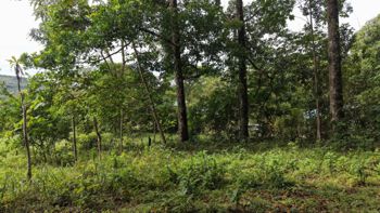 SE VENDE FINCA CON VISTAS AL CHIRRIPO Y ACCESO AL RIO BUENA VISTA en Rivas, Pérez Zeledón, San José — $400,000 - Foto 2 de 22