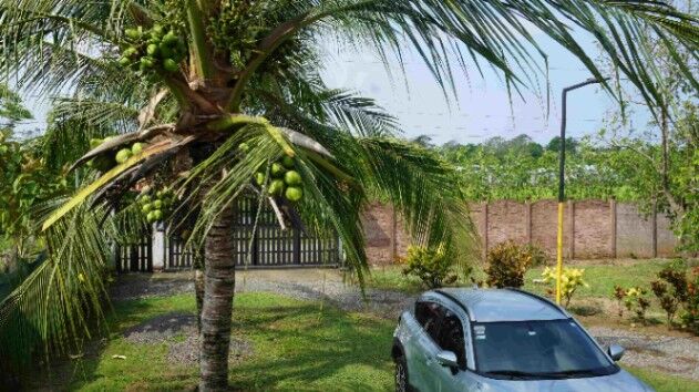 SE VENDE CASA DE PLAYA EN ESTERILLOS ESTE – CON PISCINA, MIRADOR Y JARDÍN TROPICAL en Parrita, Puntarenas — ₡ 130 000 000