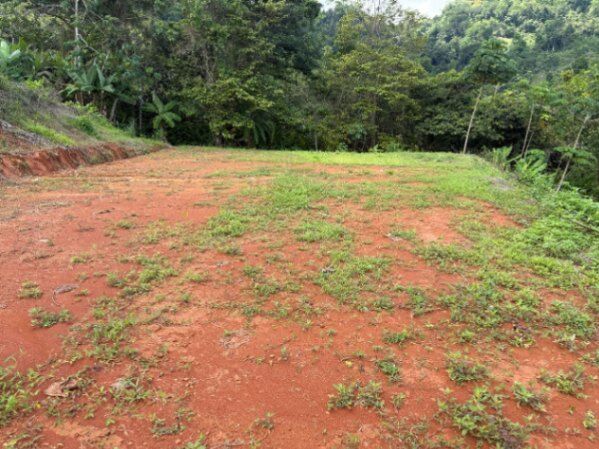 TERRENO DE 9.494 M2 CON 3 PLANTELES Y VISTA AL MAR EN VERGEL DE OSA en Puerto Cortés, Osa, Puntarenas — $530,000