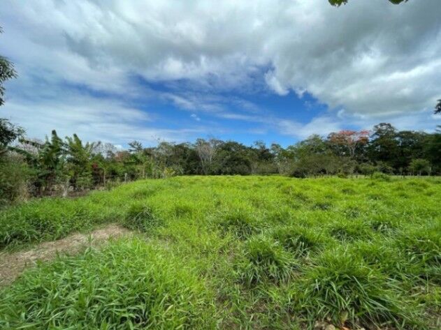 Venta de Lote en San Carlos-Aguas Zarcas. RAH 26-1301 en Aguas Zarcas, San Carlos, Alajuela — ₡ 50 000 000