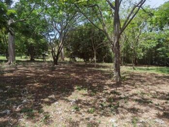 Venta de Lote en Brasil de Santa Ana. RAH 25-1945 en Brasil, Santa Ana, San José — $164,580 - Foto 4 de 6