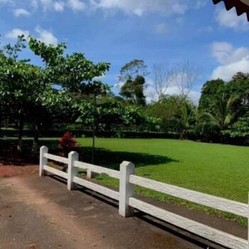 ESPECTACULAR PROPIEDAD Y CASA EN FLORENCIA DE SAN CARLOS.  in Florencia, San Carlos, Alajuela — $250,000 - Photo 4 of 16