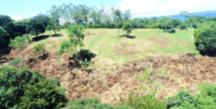 1.4 hectares con vista y cerca de Alta Gracia, Perez Zeledon. in Cajón, Pérez Zeledón, San José — $230,000