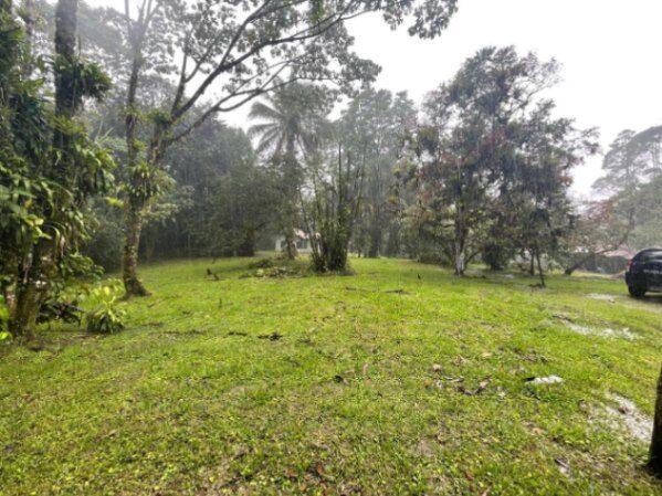 VENTA DE TERRENO l CARIBLANCO, SARAPIQUÍ l ALAJUELA l PRECIO NEGOCIABLE. in Sarapiquí, Alajuela — ₡ 85 000 000