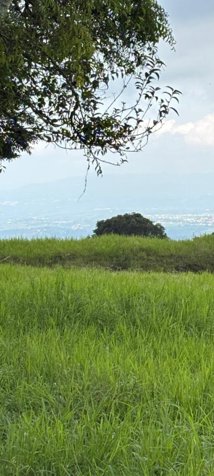 VENTA - FINCAS DE 49 HA EN POAS - FINANCIAMIENTO DIRECTO CON EL 30% DE PRIMA in San Pedro, Poás, Alajuela — $2,400,000