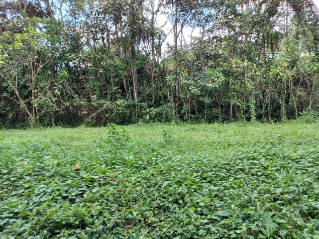 Venta de terreno en Guayabo de Mora. Viva en armonía con la naturaleza in Guayabo, Mora, San José — ₡ 85 000 000 - Photo 2 of 12