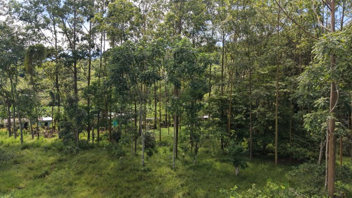 SE VENDE TERRENO LISTO PARA CONSTRUIR CON ARROYO NATURAL Y VISTAS A LAS MONTAÑAS en Rivas, Pérez Zeledón, San José — $350,000 - Foto 2 de 12