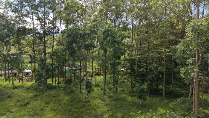 SE VENDE TERRENO LISTO PARA CONSTRUIR CON ARROYO NATURAL Y VISTAS A LAS MONTAÑAS en Rivas, Pérez Zeledón, San José — $350,000 - Foto 2 de 12
